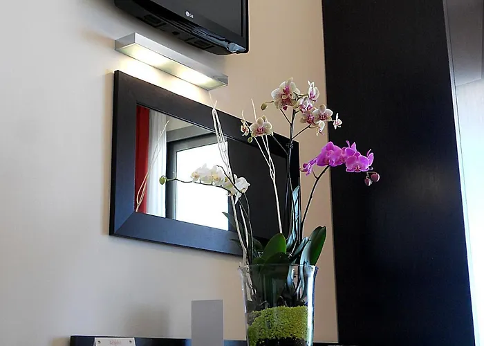 特米那尔温泉皇宫酒店 里米尼