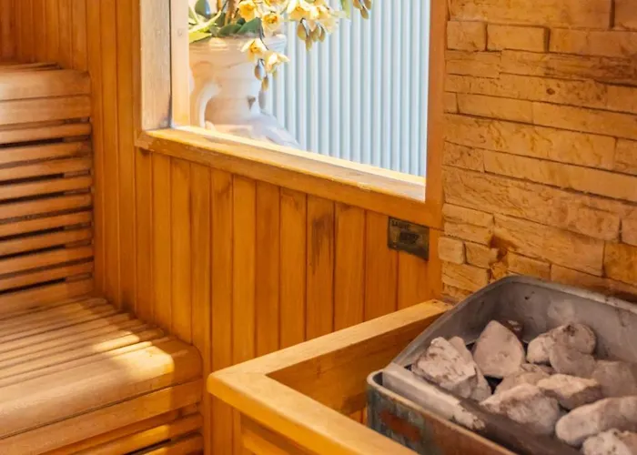 特米那尔温泉皇宫酒店 酒店 4*