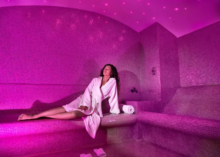 特米那尔温泉皇宫酒店